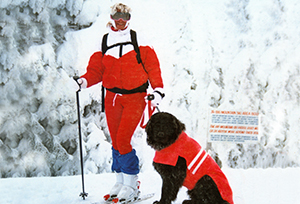 search and rescue newfoundland dog